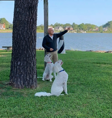 Jerry and his dogs